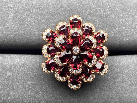 5913 Garnet Ring