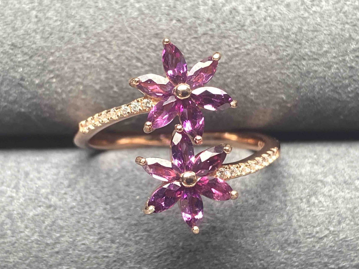 2709 Garnet Ring